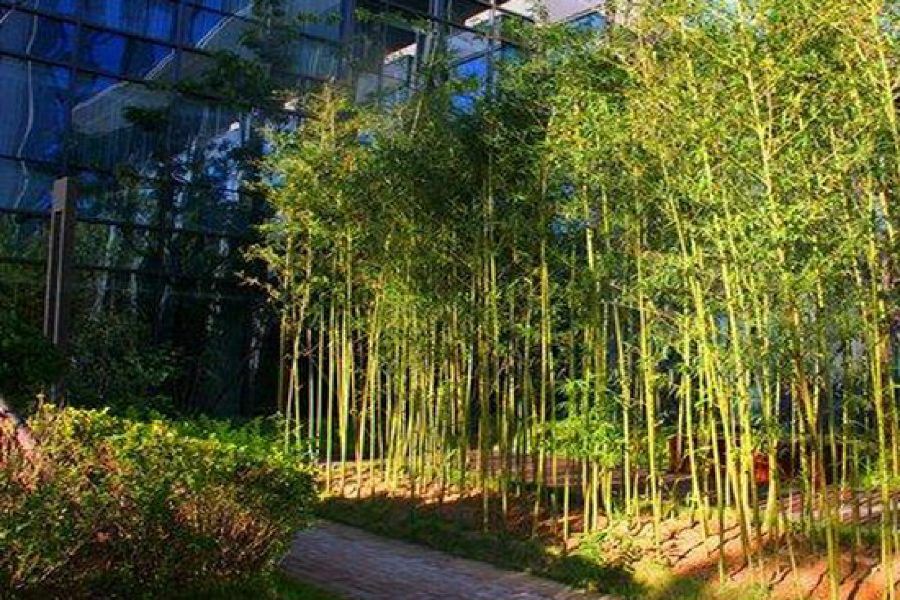 Zhongjian Yanqi Lake View Hotel Beijing Eksteriør bilde